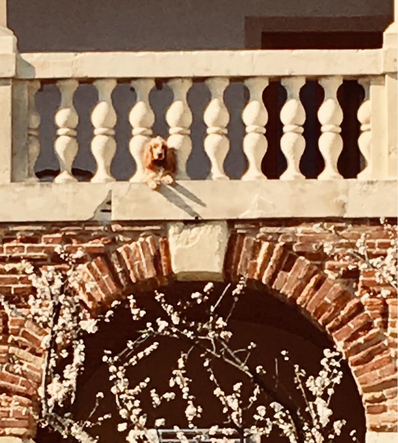 Relais Villa Gozzi B&B Arcugnano Buitenkant foto